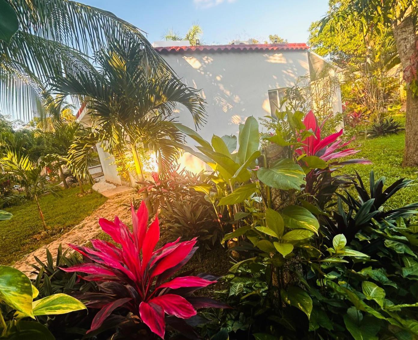 Green Paradise Leona Vicario Exteriör bild